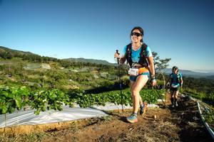 BIB: 
                            <button type="button" onclick="openModal(19121180)" class="btn btn-primary btn-sm float-right btn-popup" data-toggle="modal" data-target=".modal-high-quality">
                        <i class="fas fa-shopping-cart"></i> Add to Cart
                    </button>
                                            <button type="button" onclick="isThisMe(19121180, true)" class="btn btn-success btn-sm float-right btn-popup btn-isme hidden" data-toggle="tooltip" data-placement="bottom" title="นี่คือรูปของคุณใช่ไหม คลิกที่นี่เพื่อเอาเข้าอัลบั้ม">
                        <i class="fas fa-plus"></i> Add to album
                    </button>
                    <button type="button" onclick="isThisMe(19121180, false)" class="btn btn-warning btn-sm float-right btn-popup btn-isnotme hidden">
                        <i class="fas fa-ban"></i> Remove from album
                    </button>